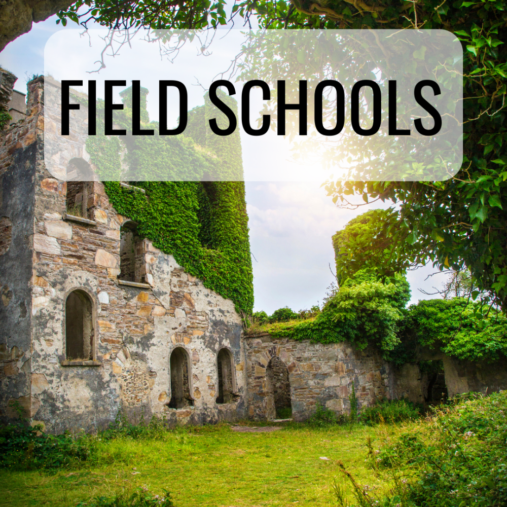 Program Types_Field Schools