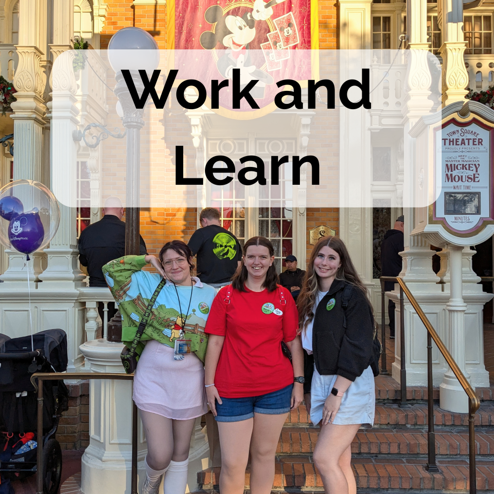 Work and Learn